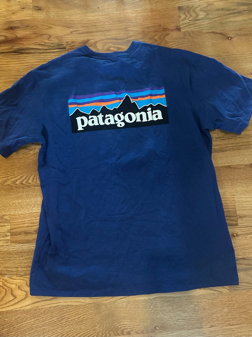 Patagonia Women's Royal Blue Logo Tee with Multi-Color Stripe